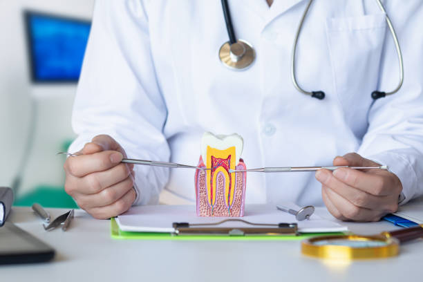 Best Emergency Dentist for Knocked-Out Tooth in Sappington, MO